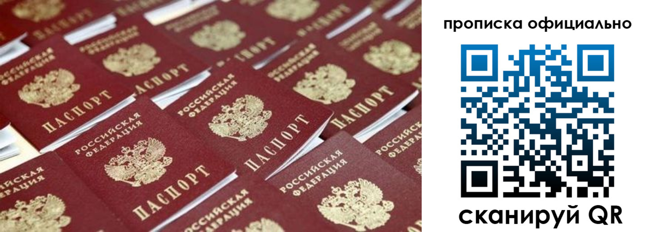 прописка гарантия в Полярных Зорях
